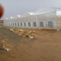 Buy cheap 8mm 10mm Commercial Polycarbonate Greenhouse With Shading System Irrigation product