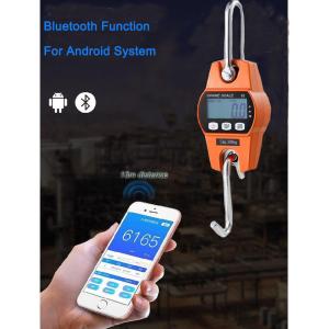 300kg Hanging Crane Scale with Bluetooth Function and LED/LCD Display ABS
