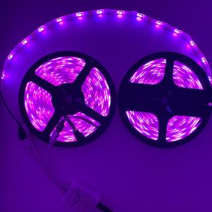 72W IP65 10M RGB LED Light Strips