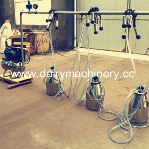 Buy cheap 5 Milking Clusters Cow Milking Machine with 550L Vacuum Pump ISO CE FDA SGS Certified from wholesalers