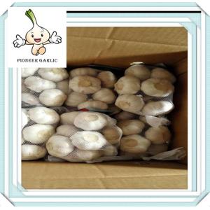 Buy cheap 2016 New Fresh Garlic Pure White Fresh Garlic New Fresh garlic 3.5-7.0cm from wholesalers