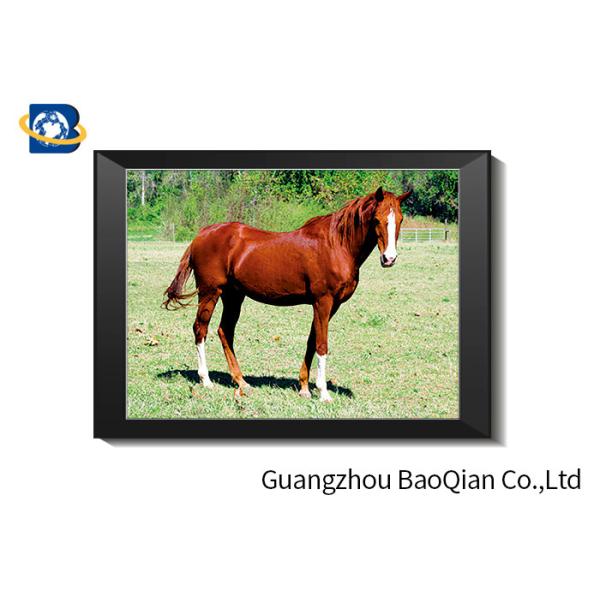 0.6 MM Custom Size 3D Horse Pictures For Adverting / Decoration Three Filps
