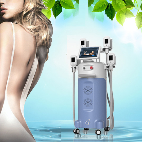 Buy cheap Verticle Cool Sculpting 4 handles cryolipolysis slimming machine from wholesalers