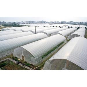 Buy cheap Tunnel Polyethylene Film Greenhouse / Plastic Shed Simple Galvanized Steel Frame from wholesalers