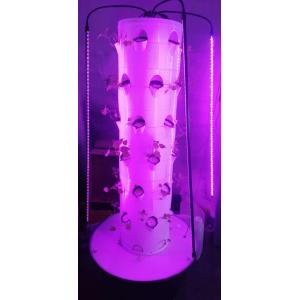 Buy cheap Hydroponic System Aerpetta Strawberry And Leaf Vegetable Rotation With Lights from wholesalers