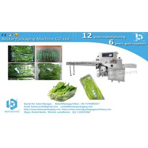 Buy cheap Greens cabbage leafy pouch packaging horizontal servo packing machine from wholesalers