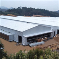 OEM / ODM Steel Structure Farm Poultry Layer Prefabricated Chicken House
