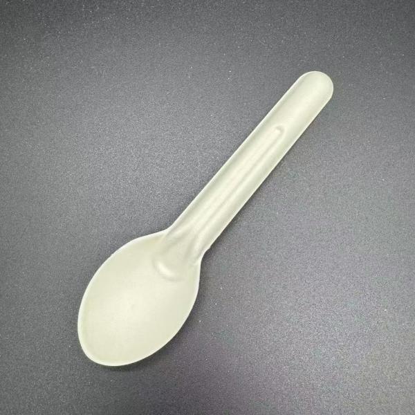 Disposable Biodegradable Food Grade Paper Pulp Cutlery For Home And Commercial