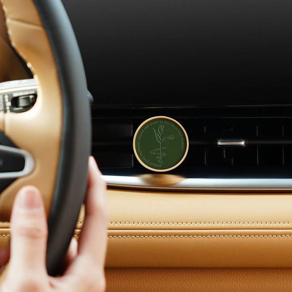 Quality Car Aromatherapy Pine Tree Coconut Car Air Freshener Spray for sale