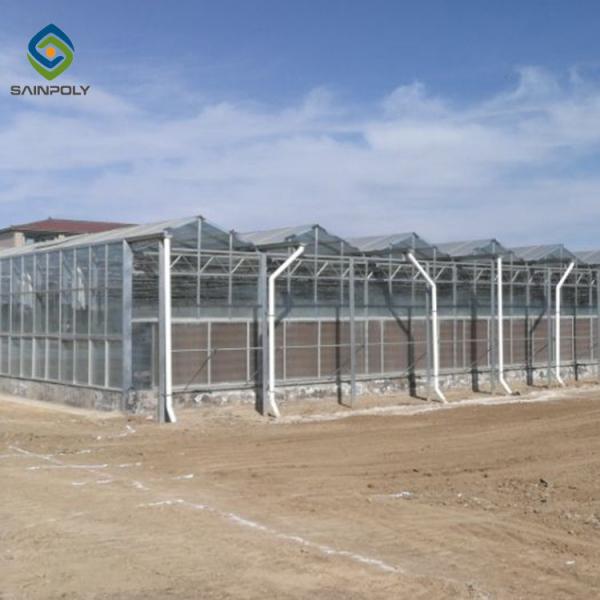 Quality Agricultural 120km/H 12m 10.8m Glass Multi Span Greenhouse for sale