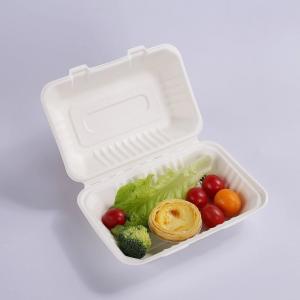 9 X 6In Sugarcane Bagasse Clamshell Biodegradable Disposable Lunch Box