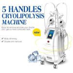 Buy cheap 5 Handles Cryolipolysis Fat Freezing Machine Body Sculpting Machine For Fat Reduction from wholesalers