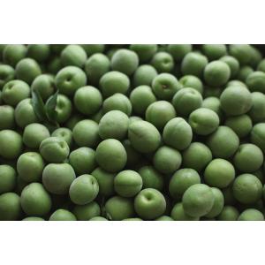 Buy cheap Clear Chinese Green Plum Juice Concentrate, 65 brix, tart acid from wholesalers