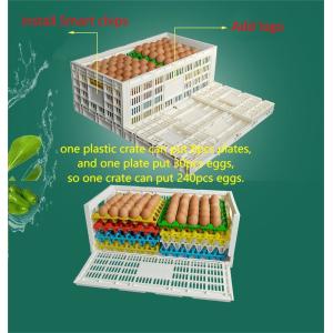 Buy cheap Foldable 14 Egg Storage Box Stackable Plastic Kitchen Organizer Bin for Storing Eggs from wholesalers