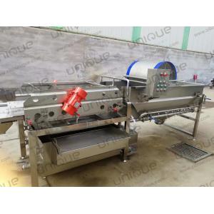Customized Voltage 1.5t/h Capacity Vegetable and Salad Washing Machine for