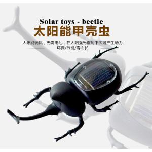 Durable Compact Solar Beetle Educational Toys For Kids Learning