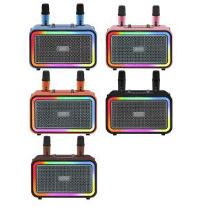 High-fidelity MVSILICON IC Chip With DSP Sound Processing Featuring Two 4-inch