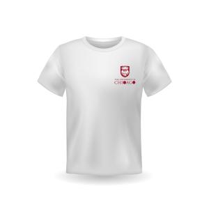 Customized Digital Printing University Logo T-Shirt for Promotion in Casual