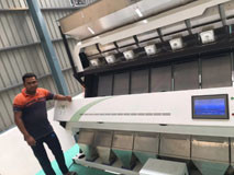 Buy cheap Basmatic Rice Sorting Machine from wholesalers