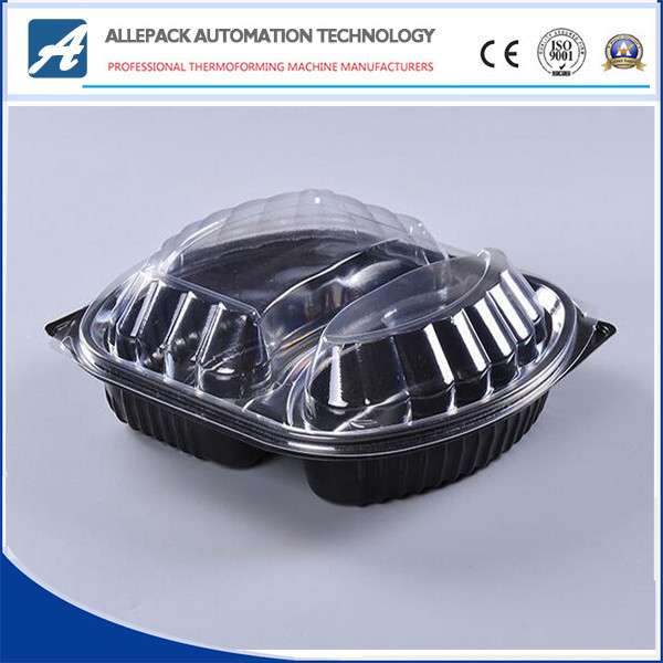 Quality OEM Disposable Plastic Containers , Disposable Clear Food Box Plastic Box for sale