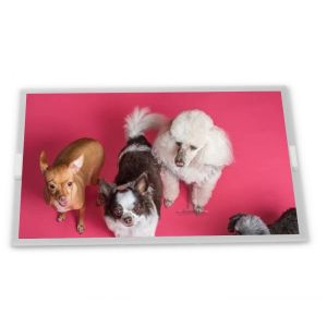 Buy cheap High Resolution 10.2-Inch stock Compatible WLED LCD Display Module 800*256 High Definition Features ODM TX26D25VM2BAA from wholesalers