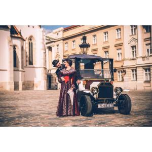 Buy cheap High Power Antique Electric Car 8 Seats With Curtis Controller from wholesalers