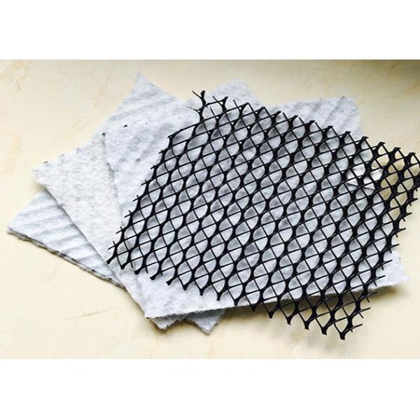 Quality Three - Dimensional Hdpe Geonet Drainage Network High Strength CE Certification for sale