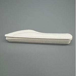 Eco Friendly Compostable Degradable Disposable Sugarcane Bagasse Paper Pulp