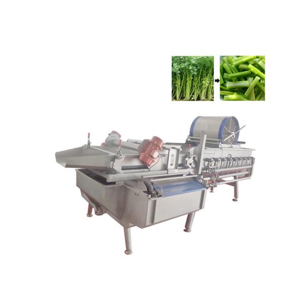 Buy cheap Green Leaf Vegetable Washing Machine Lettuce Cabbage Salad Commercial Vegetable Washer from wholesalers