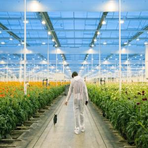 Buy cheap Adjustable Light Sustainable Steel Film Greenhouse Solar System from wholesalers