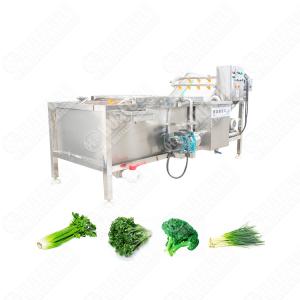 Easy Operate Food Factory Brush Limon Washing Machine Cheap