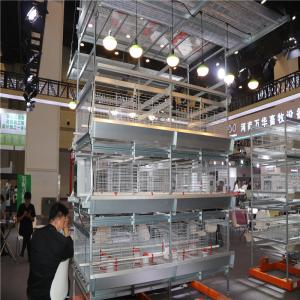 Buy cheap Q235 Steel Galvanized 1 Day Old Baby Chick Cage 20 Years Anti Rust from wholesalers