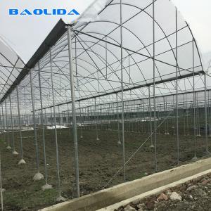 Buy cheap Strong Structure Heavy Duty Plastic Greenhouse / Plastic Tomato Greenhouse from wholesalers