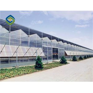 Buy cheap Commerical Arch Roof 8m 12m PC Sheet Greenhouse from wholesalers