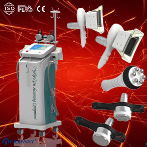 Buy cheap Main Series Effective 5 Handles Cryolipolysis Slimming Machine for Whole Body Slimming from wholesalers