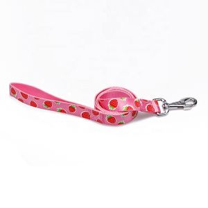 Buy cheap OEM training dog leash Silk Screen Pattern dog training lead from wholesalers