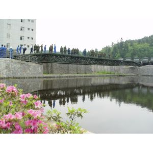 Buy cheap Fast Erect Temp Bridge Of 17m - 51m Mechanized from wholesalers