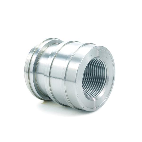 Quality Brass Customization Spare Part OEM Customer Piston with Customized Request for sale