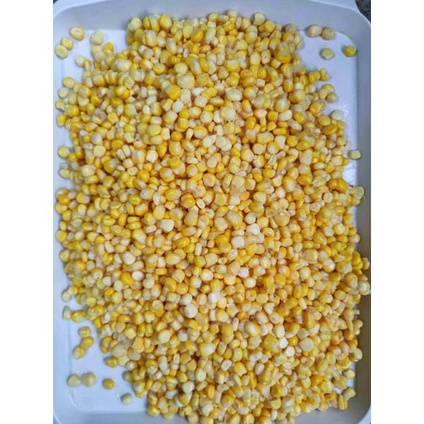 Quality Manual Selection Canned Sweet Corn Ready To Eat Super Sweet Variety for sale