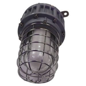 Class 1 Division 1 Explosion Proof LED Lights 10-50W ATEX High Bay