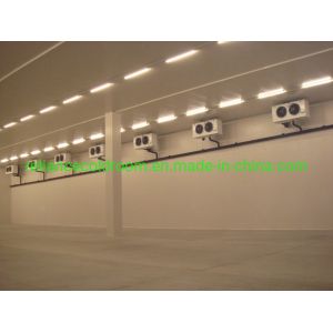 Buy cheap Small Walk in Freezer/Chiller for Vegetables Fruits Refrigerant Freon Cold Storage Room from wholesalers