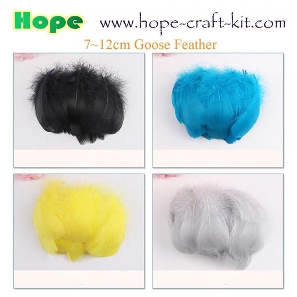 Various size of goose feathers, turkey feathers, chicken feathers, peacock , ostrich feathers for hobbies and kids DIY