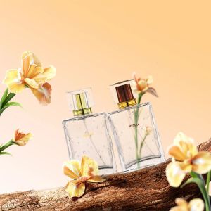 Buy cheap 50ml Transparent Glass Clear Rectangle Bottle With Transparent Lid For Cosmetic Glass Bottles from wholesalers