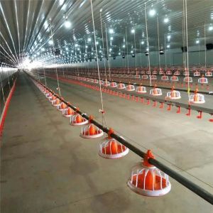 Buy cheap Stainless Automatic Broiler Feeding System 50Kg Feed Hopper For Poultry from wholesalers