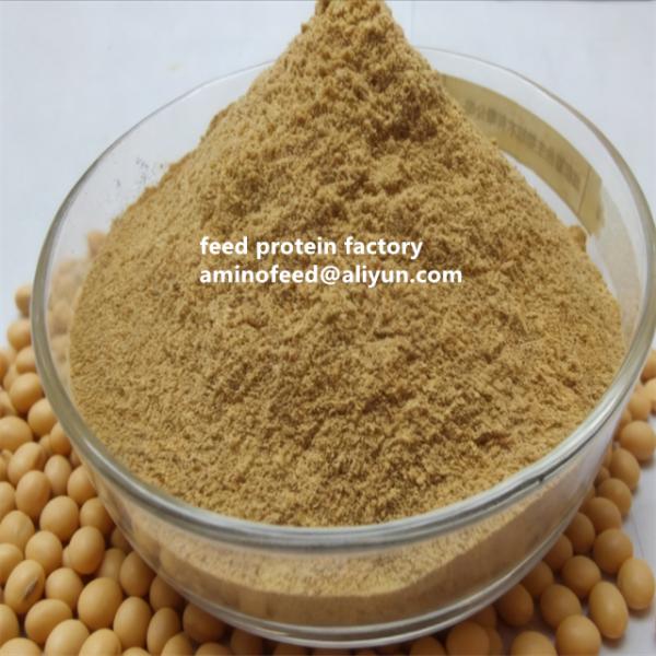 Quality Replace Fish Meal With Amino Acid Feed For Poultry And Aquatic Animals Non-GMO Soybean Concentrates 50% Protein for sale