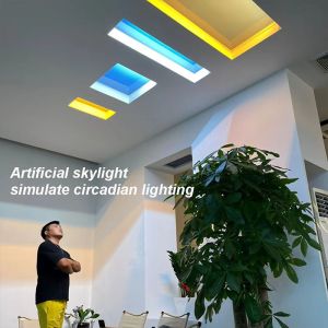 China Smart Dimmable 300x600 Artificial Sky Light ,​ No Flicker Fake Skylight Light on sale