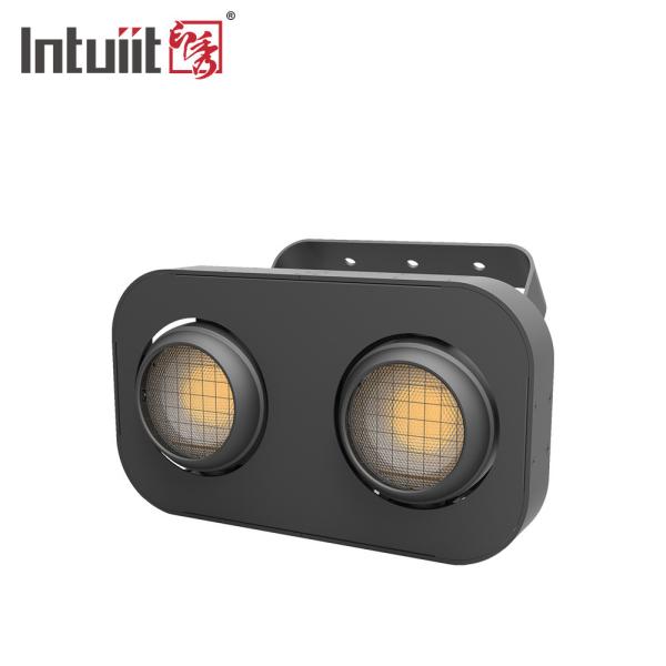 Professional 2 Eyes High Brightness Blinder Light 2X90W Cob Led Stage Par Audience Light