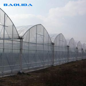 Seedling Nursery Greenhouse Structure Galvanizing Steel Arched Frame Multi Span