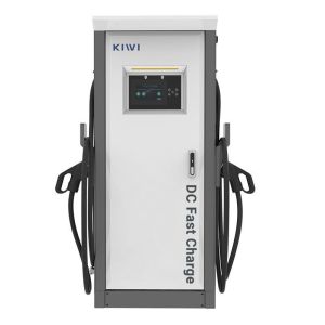 Smart Ev Car Charging Station Type 1/2 with 60KW Output Power and High Frequency