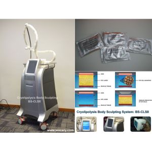 Buy cheap Freeze fat machines /cryolipolysis body slimmingmachine/ icoone from wholesalers
